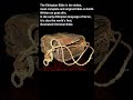 The Oldest Bible On Earth