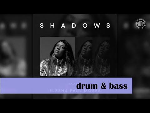 D.Tactics & Elesha Paul Moses - Shadows (Original Mix)