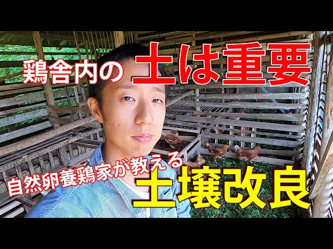 ニンニクやその他の効果的な自然療法を使って鶏の駆虫をする方法：ヒント  庭園