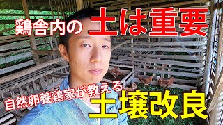 鶏の住心地が良い土とは？鶏舎内の土壌改良を丁寧に解説【自然卵養鶏法】