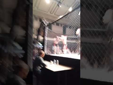 Celtic Gladiator 14, 3 round, Molenda vs Wayde