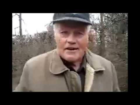 Streit der Organe - Wer ist hier der Boss...der Boss kann nur das...sein