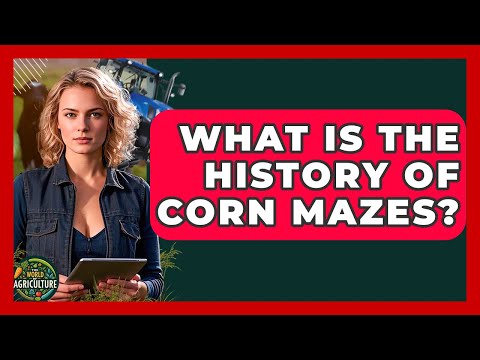What Is The History Of Corn Mazes? - The World of Agriculture