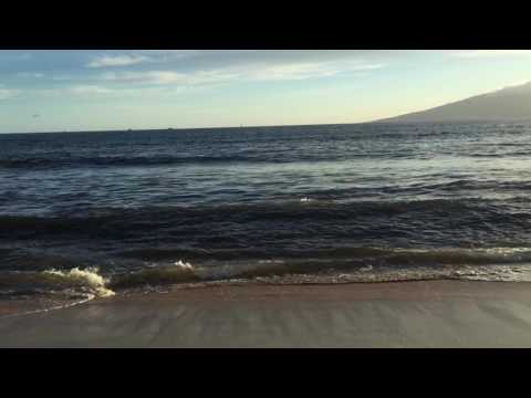 SHADOW & LIGHT by Jim Stubblefield - Ka'anapali Beach, Maui - Mellow Guitar & Viola