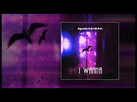 Agunda & DJ M.E.G - I wanna (Официальная премьера трека)