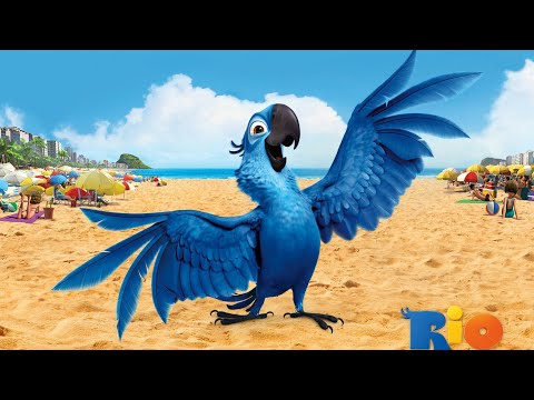 RIO Filme (completo)
