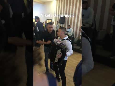 Nikola Dimitrijević Harmonika Splet kola