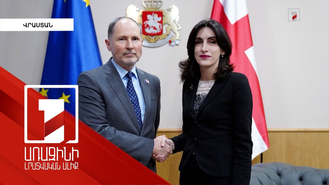 Վրաստանի ԱԳ նախարարն ընդունել է ԵՄ դեսպանին