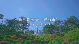 青梅市 塩船観音寺のつつじまつり