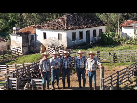 5 IRMÃOS QUE NUNCA SE CASARAM VIVEM NESSE CASARÃO