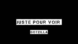 S.Pri Noir (Ft. Nakfeu)- Juste Pour Voir parole avec la musique