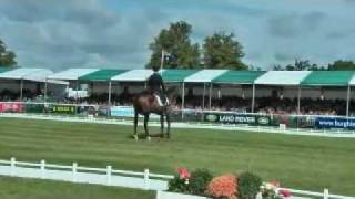 preview picture of video 'Neill Spratt on Hugos There at Burghleyxxxx Dressage 2009'