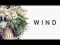 Johari Wind