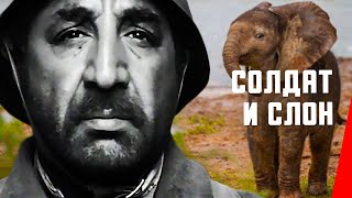 Солдат и слон (1977)