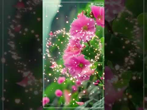 shamima#flowers #viralvideo #subscribe.