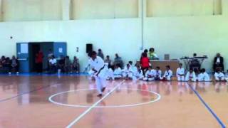 preview picture of video 'White Dragon Karate Spotorno - Kata Sochin di Sergio Viassone'