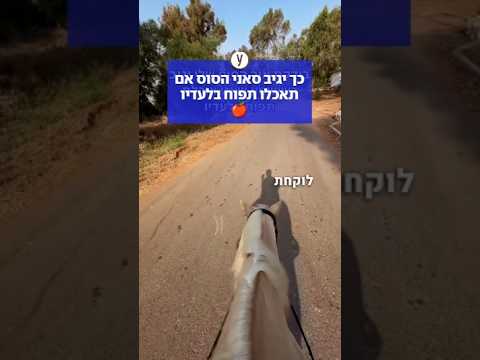 כך יגיב סאני הסוס אם תאכלו תפוח בלעדיו