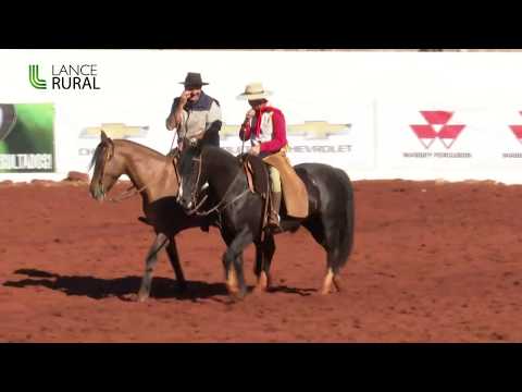 Campo Grande/MS - Prova de Campo I - Classificatória ao Freio de Ouro 2019