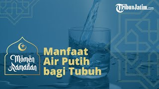 Manfaat Air Putih bagi Tubuh, Bisa untuk Turunkan Berat Badan