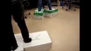 Boxing to La Fleur Fatale