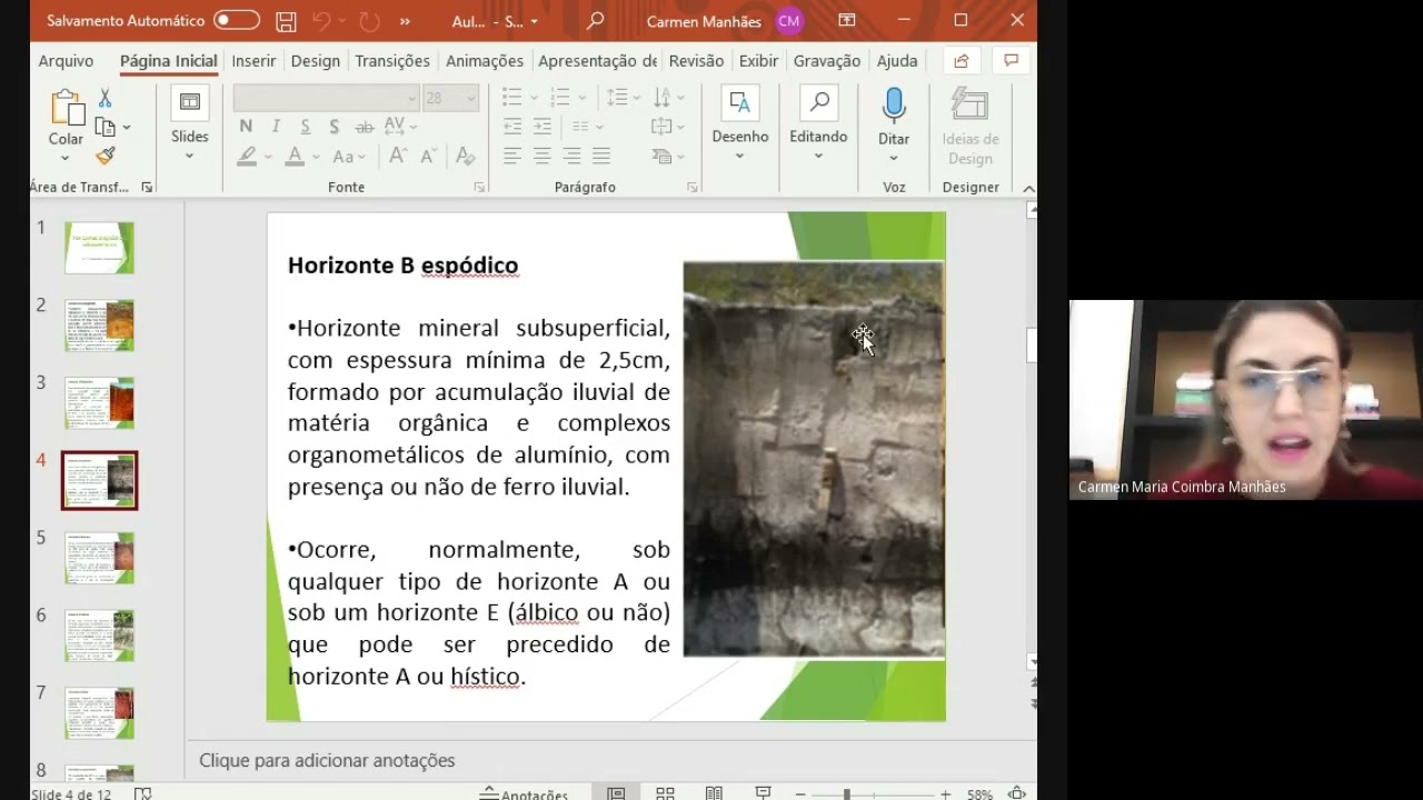 Horizontes diagnósticos Sub superficiais - SIBCS