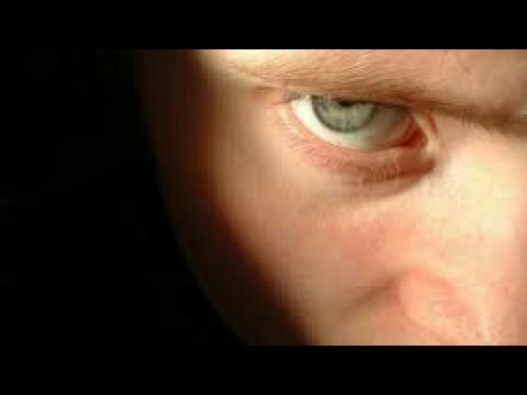 ¿El ser humano es malvado por naturaleza? - La ciencia del mal - Documental