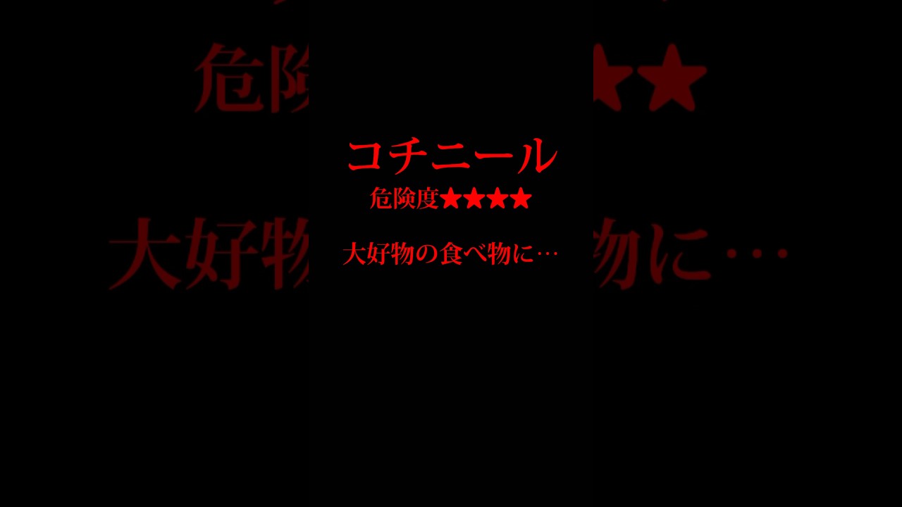 検索してはいけない言葉 #shorts