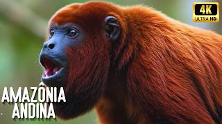 🧭🌿 INÉDITO: Amazônia Andina, Fronteira Selvagem da América do Sul | Documentário