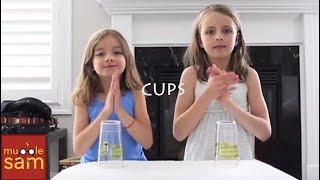 CUPS - Anna Kendrick - Pitch Perfect When I'm Gone Song by Sophia and Bella