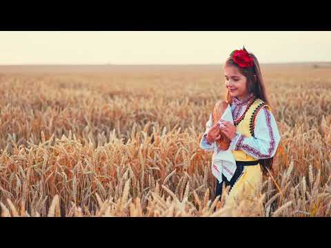 Fratii Petreus & B. Sinclar  - Maramures plai cu flori  * Allen Casian * Remix 2025 *