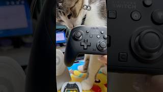 猫にガチャガチャの歴代PSコントローラーを説明してあげた(武蔵) #cat #猫のいる暮らし #保護猫 #ねこ #ネコ #猫のいる生活 #ps5 #switch2