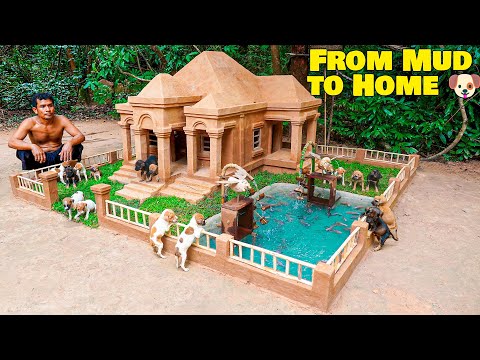 From Mud to Home: Clay Dog House Built for Rescue Puppies