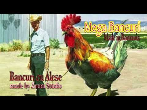 3 Ore de Bancuri Tari si Necenzurate, Colectie 2016