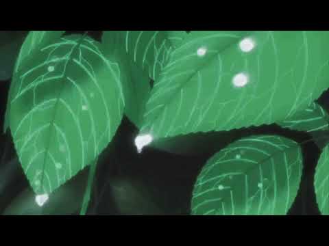 Adhd video