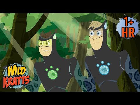 Black Jaguar Transformation | Creature Transformation | Wild Kratts