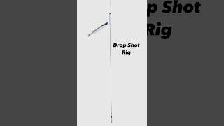Drop Shot Rig - keeps your bait and lures off the bottom #fishing