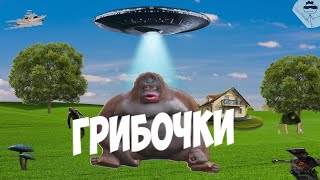 Эту игру сделали под грибами (Project First Contact)