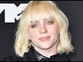 Billie Eilish S Porn Troubles Defended By Famous Retired Porn Star Randy Spears