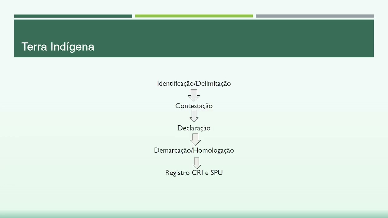 Direito Indígena - Estatuto do Índio - aula 2