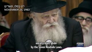 The Rebbe - Purpose in life