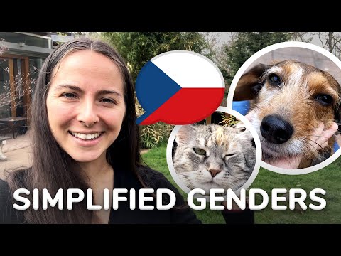 How to start using Czech genders - Czech lesson #17 using my TLE method