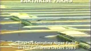 preview picture of video 'First USA Spirulina Algae Production: Earthrise Farms 1983'