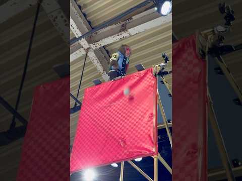 猿が投げたボールが飼い主の後頭部にあたって大事故になったときのやつ