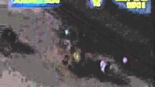 GS Leeann # 2 Dec 7 2012 2nd place Orange Park