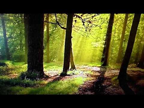 Svalbard  -  Abendlan  ( Featuring : Truart )