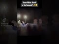 Snow White S Funeral ️ ️ ️ Disney Snowwhiteandthesevendwarfs