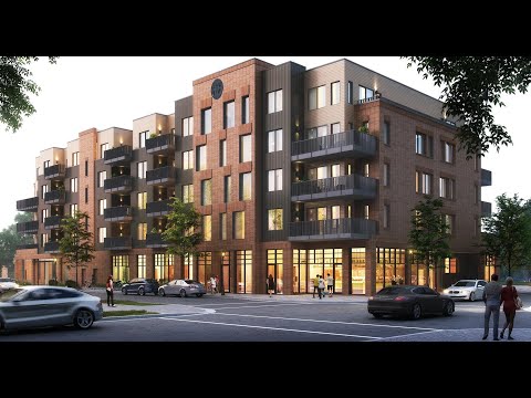 Black Olive - Video 2 of 2