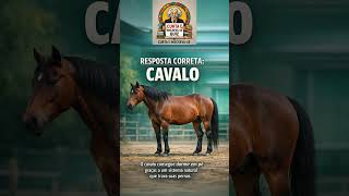 Qual animal dorme em pé? 🐴🐄 Desafio rápido! #quiz #animais #dorme # #cavalo #cachorro #elefante