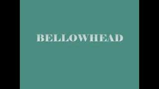 The Wife of Usher's Well - Bellowhead