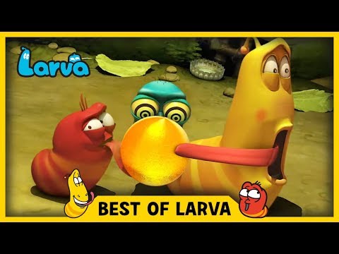LARVA | BEST OF LARVA | Cartoons | Comics | LARVA 2017 WEEK 33